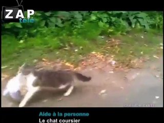 Zapping du net du 21 octobre 2011