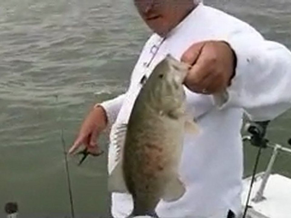 Perch Fishing for Smallmouth Bass Lake Erie Michigan