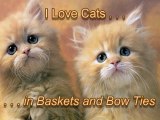 I Love Cats in Baskets and Bow Ties - Spencer C. Young