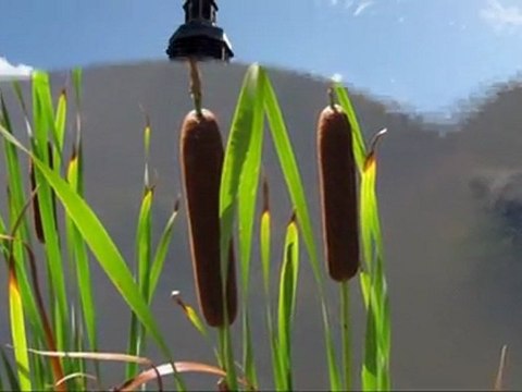 Au pays des trois abbayes