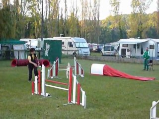 Aster - GPF Miramas 16.10.11