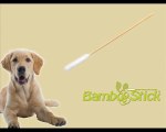 BambooStick: the best  dog ear cleaning technique