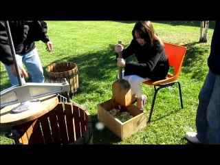 Andeville :  La pomme dans tous ses etats