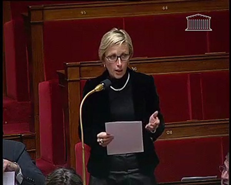 Débat sur l'amendement taux de TVA réduit pour la filière équestre