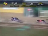 2011 World Classic at Hollywood Florida Greyhound Track - YouTube