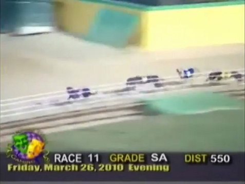 2010 World Classic at Hollywood Florida Greyhound Track - YouTube
