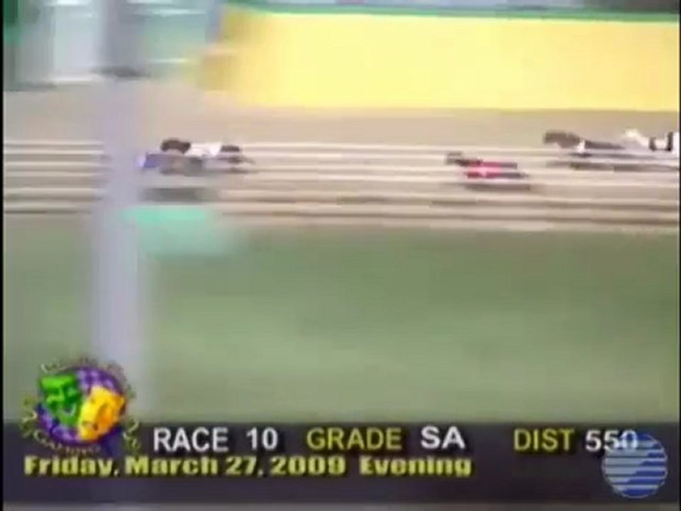 2009 World Classic at Hollywood Florida Greyhound Track - YouTube