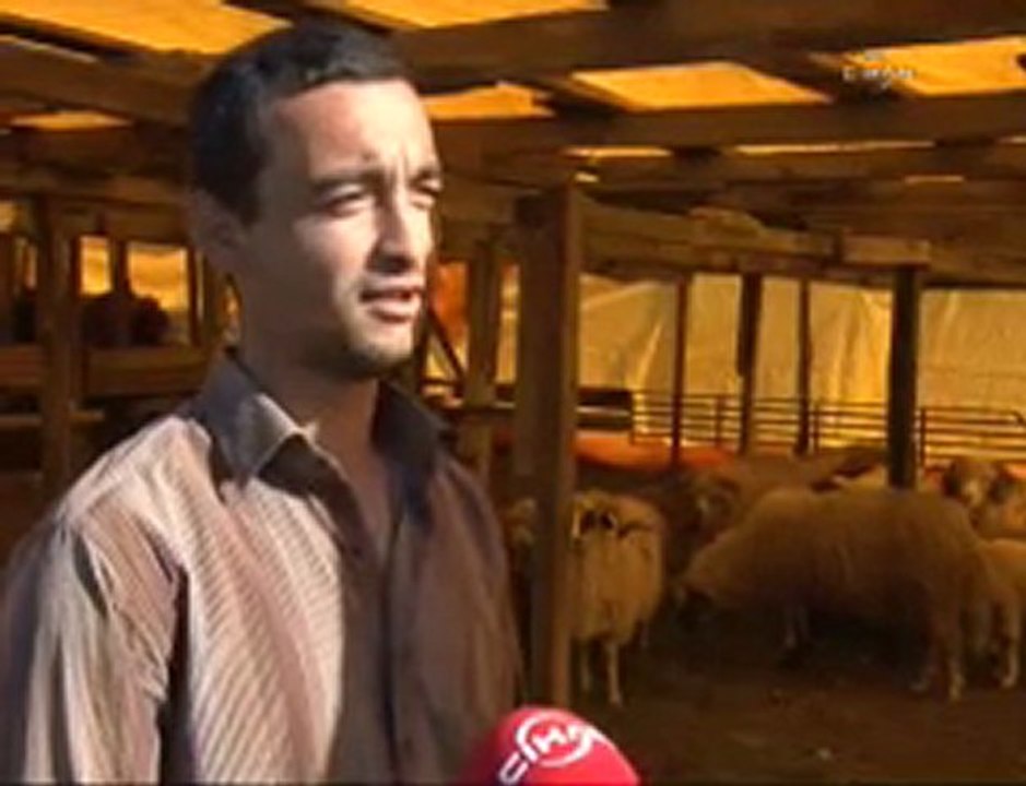 Kurbanlıklar görücüye çıktı