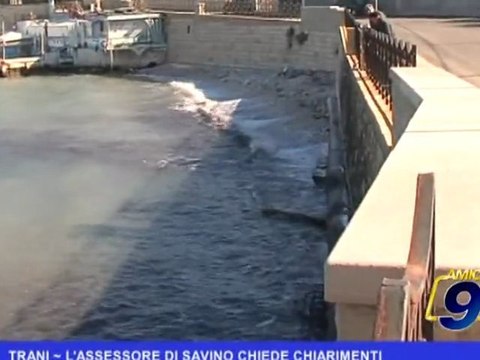 Trani | L'assessore Di Savino chiede chiarimenti