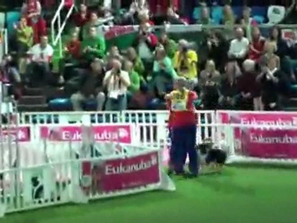 Championnat du monde agility Lievin 2011 Parcours Jumping Equipe médium