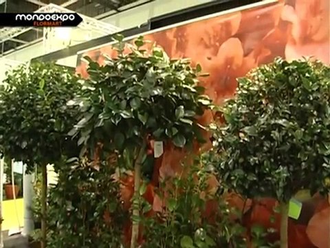 Flor Coop - Un gruppo di valore per acidofile di qualità