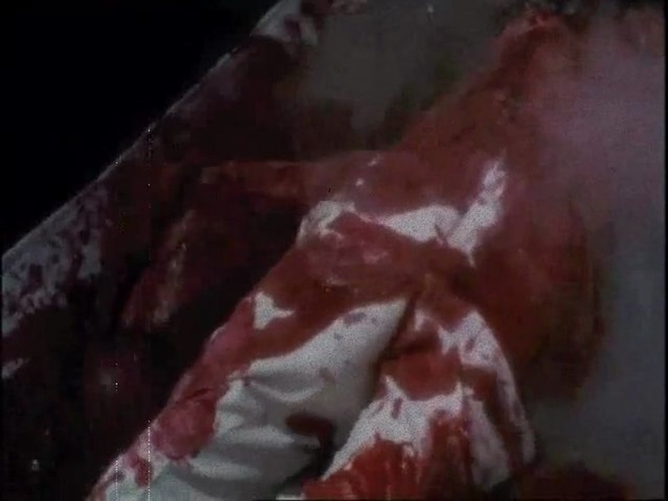 MC BUSHPIG & R.O.D. - Sadistic Sexual Homicide