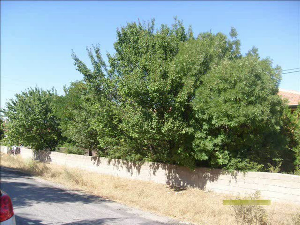 KARŞILAŞTIRMA