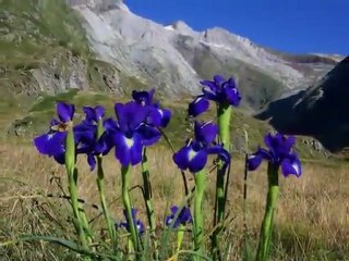 Sangria Gratuite Mon accent Pyrénées