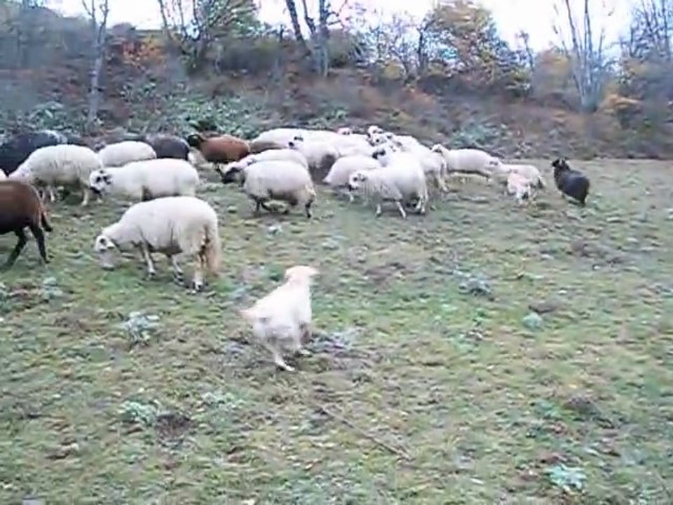 28 oct 2011 007