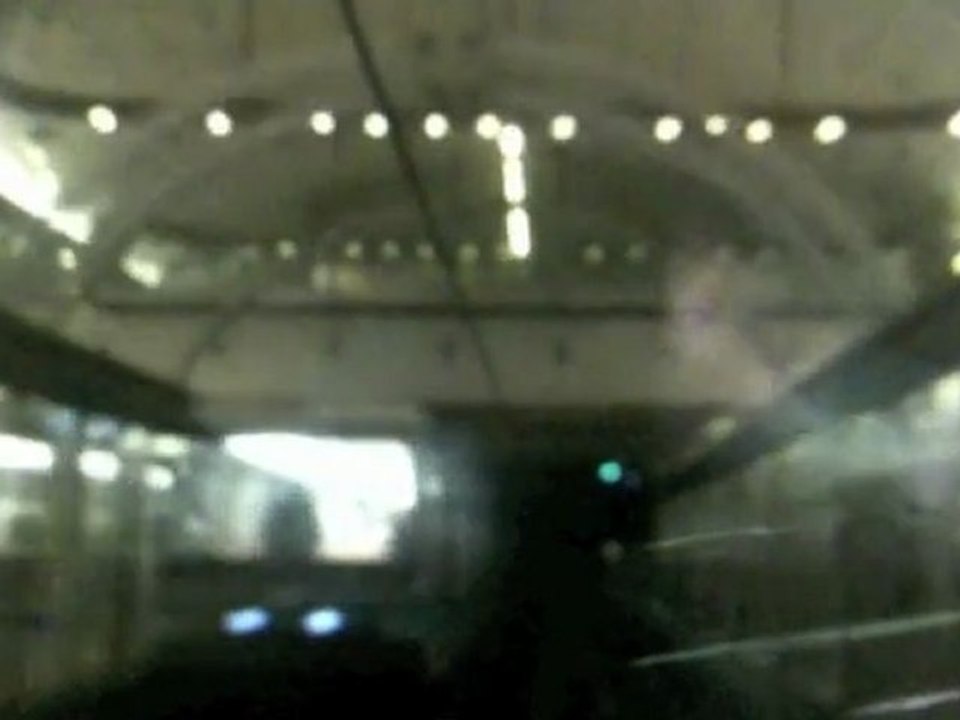 FRED - In Lisa's Head