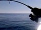 Jigging tekniği ile balık avı: Hakan ÇEBEN 20.10.2011 akya 14kg