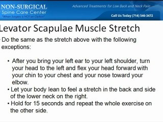 Chronic Neck Pain Exercises | Part 2