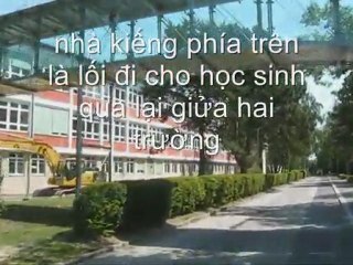 Uống nước bên bờ suối - Quỳnh Hương - Minh Châu (Linz-Austria)