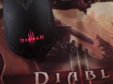 Hands-on with SteelSeries Diablo III mouse and pad at ...