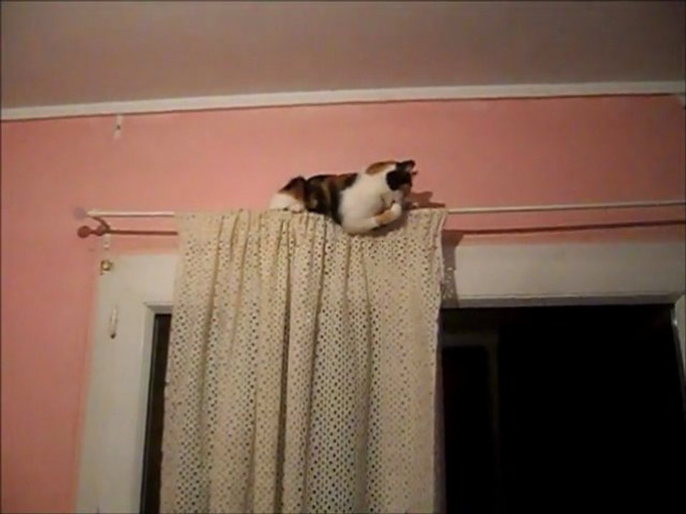 Princesse fait son interressante le 20 10 11