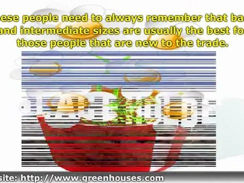 Understanding Greenhouse Kits And How They Are Put Together