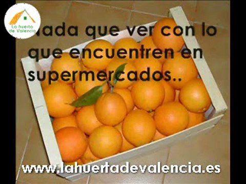 Venta de naranjas a domicilio de la huerta