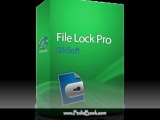 GiliSoft File Lock Pro 5.1 Registered 2012 Download 100% Working