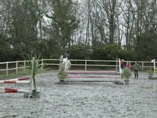 Tiffany et Dart Equi 22