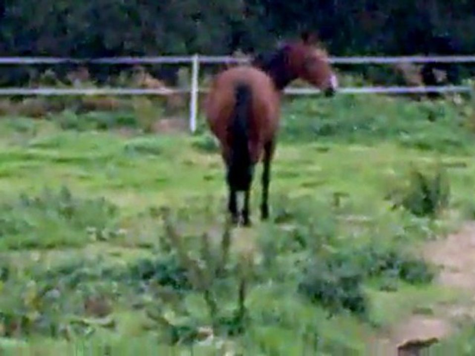 09102011012 - Piquepaille