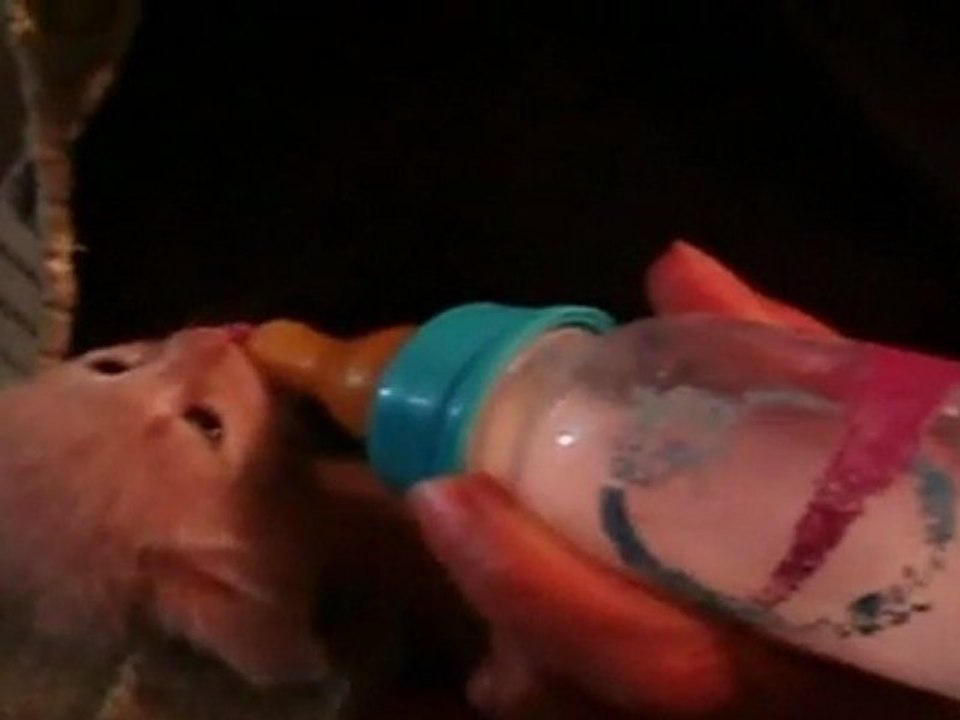 boncuk