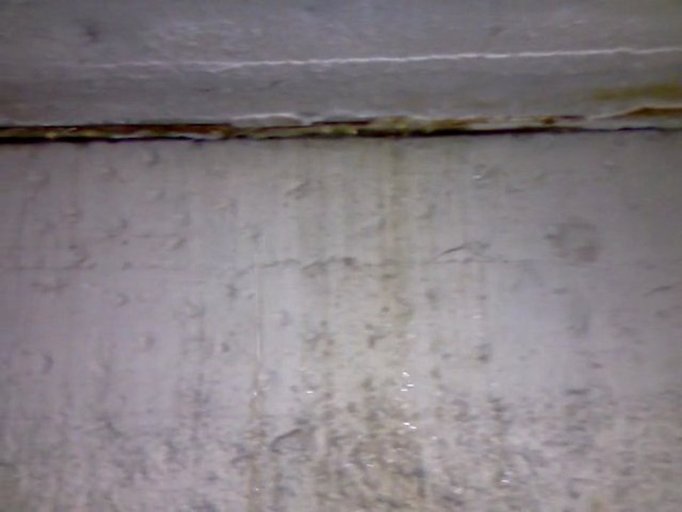garage2