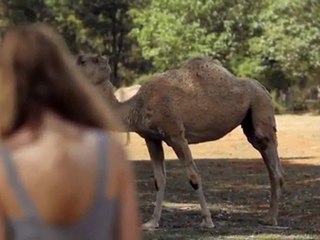 Music for Film and TV - Myles Wright