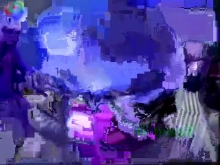 Vinhetas Globo Cidade