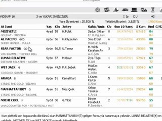 ADAN YARIŞ YORUMLARI