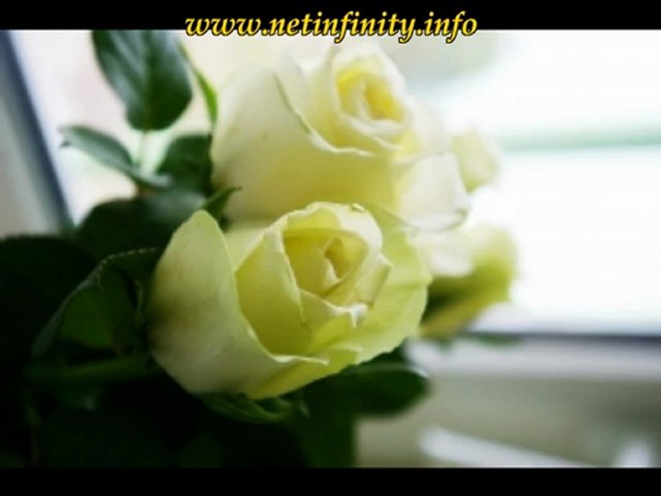 tips for web hosting