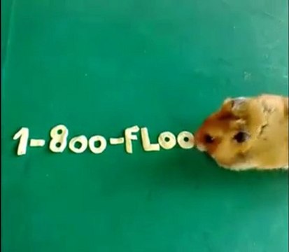 Water Damage Restoration Chandler