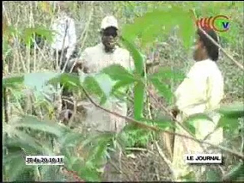 Contrôle et évaluation des projets du ministère de l’agriculture et de l’élevage