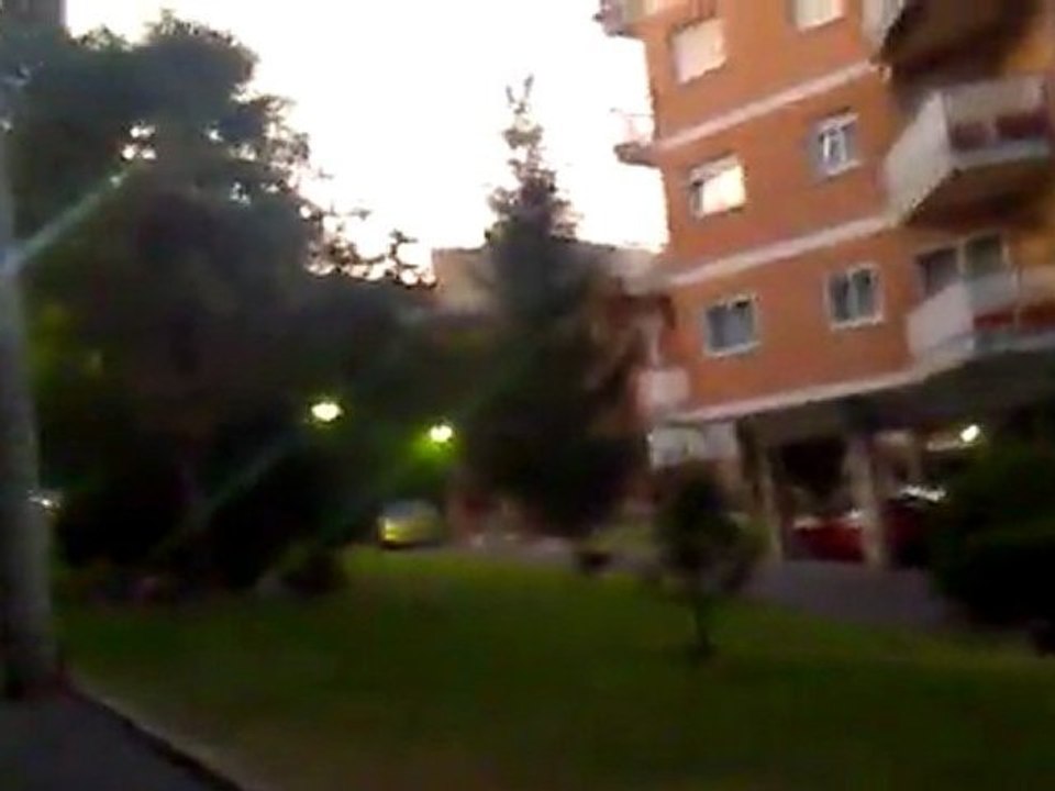 Pajaritos x la mañana