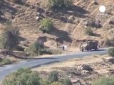 Turkish troops 'kill 49 Kurdish rebels'