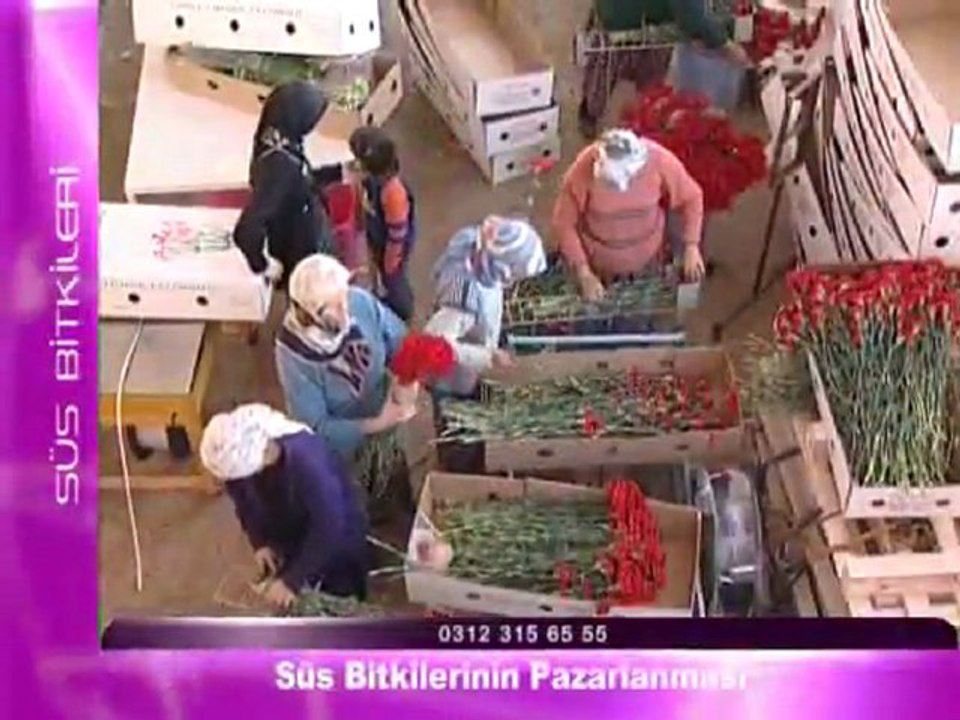 susbitkilerininpazarlanmasi