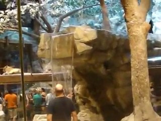 Las Vegas com Ana&Victor parte 3