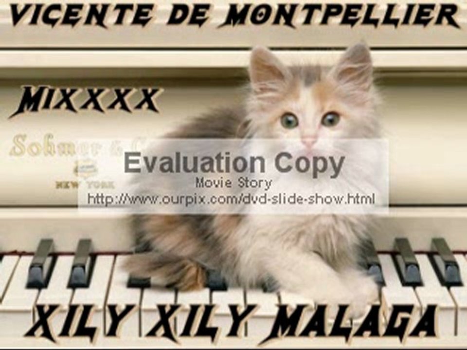 vicente de montpellier 2011-2012 Mixx