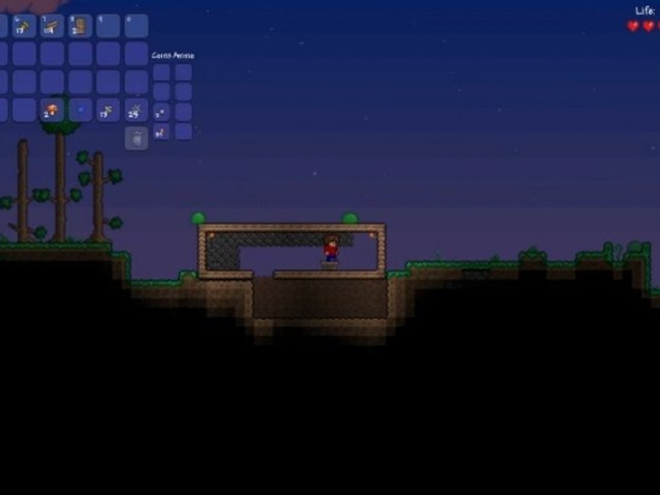 Terraria