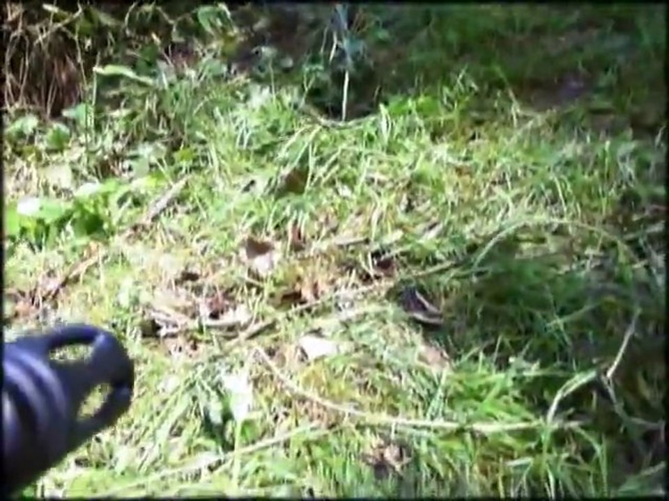 Brother In Airsoft @ Challans 21/08/2011