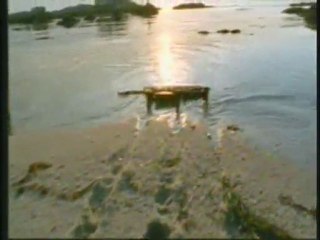 Harun Yahya TV - Robots that imitate living things