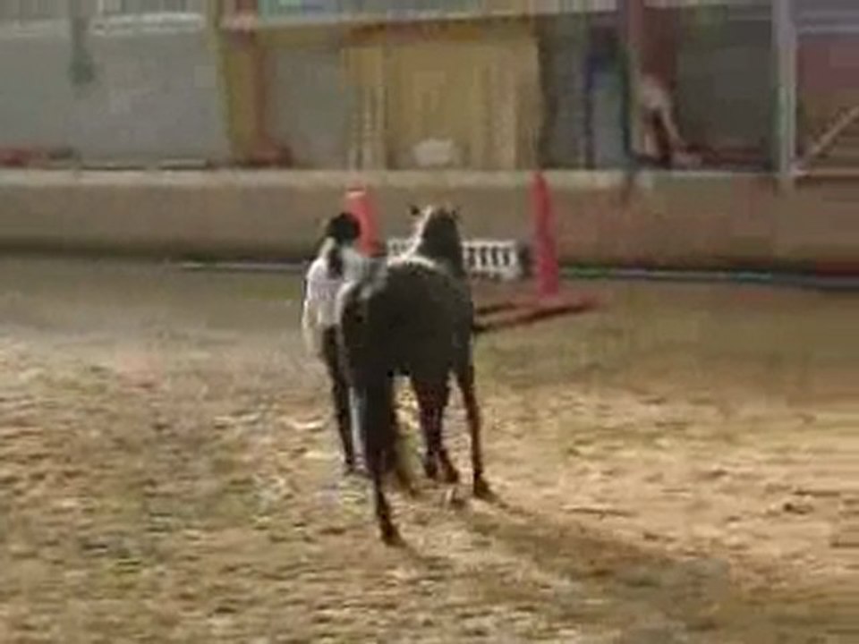 petit spectacle équestre !!!