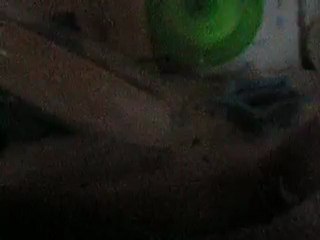 La cage des mes souris+ l'air de jeux