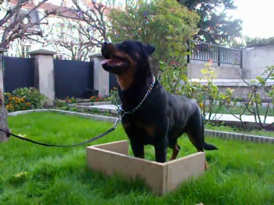 F'GAIA VON ONE EMMY positions 15 mois