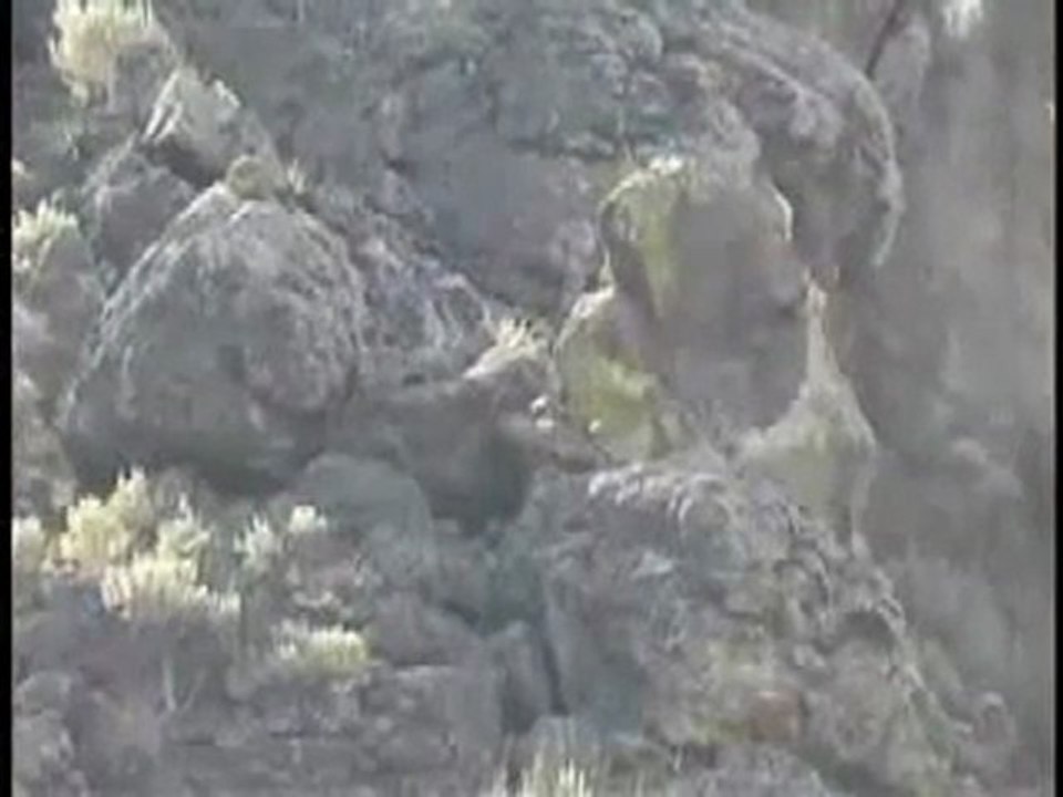 Havaya Uçan PKK lı görüntüleri